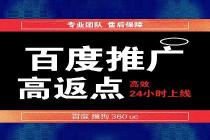 企业SEM服务实战案例解析